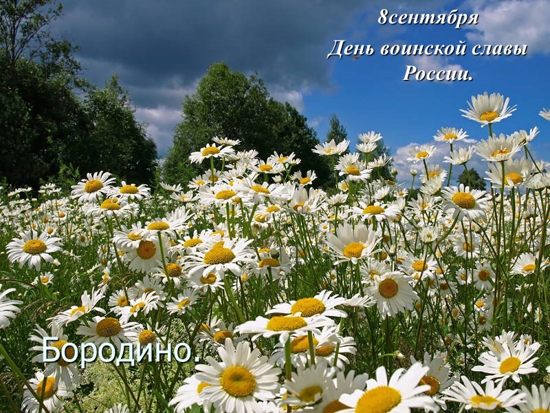 Бородино. 8сентября День воинской славы России. Бородино. 8сентября День воинской славы России.